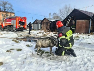 В Тымовском во время ликвидации возгорания гаража пожарные спасли собаку