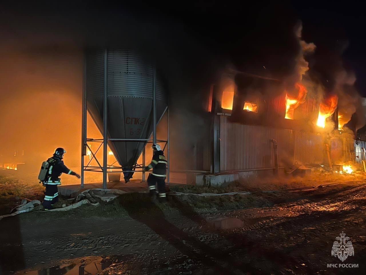 МЧС: до 300 свиней могут находиться в горящем ангаре «Мерси-Агро»