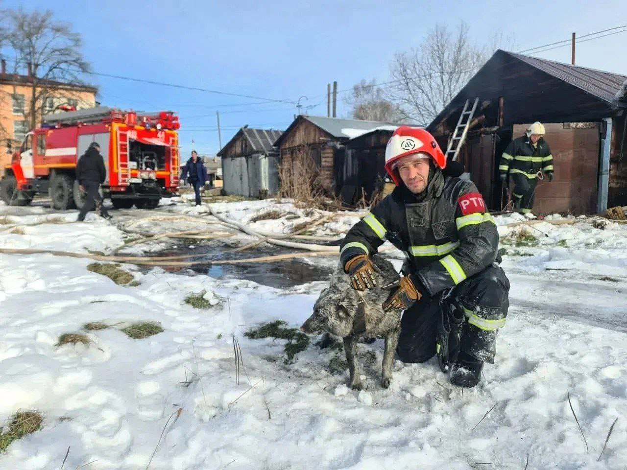Собаку спасли пожарные во время тушения возгорания в Тымовском Собаку спасли пожарные во время тушения возгорания в Тымовском