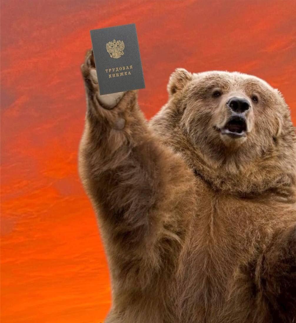 Каждому мишке нужна трудовая книжка