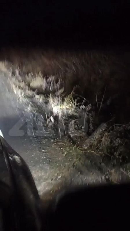 Дорогу Озерское – Новиково стали называть убийцей автомобилей и нервов