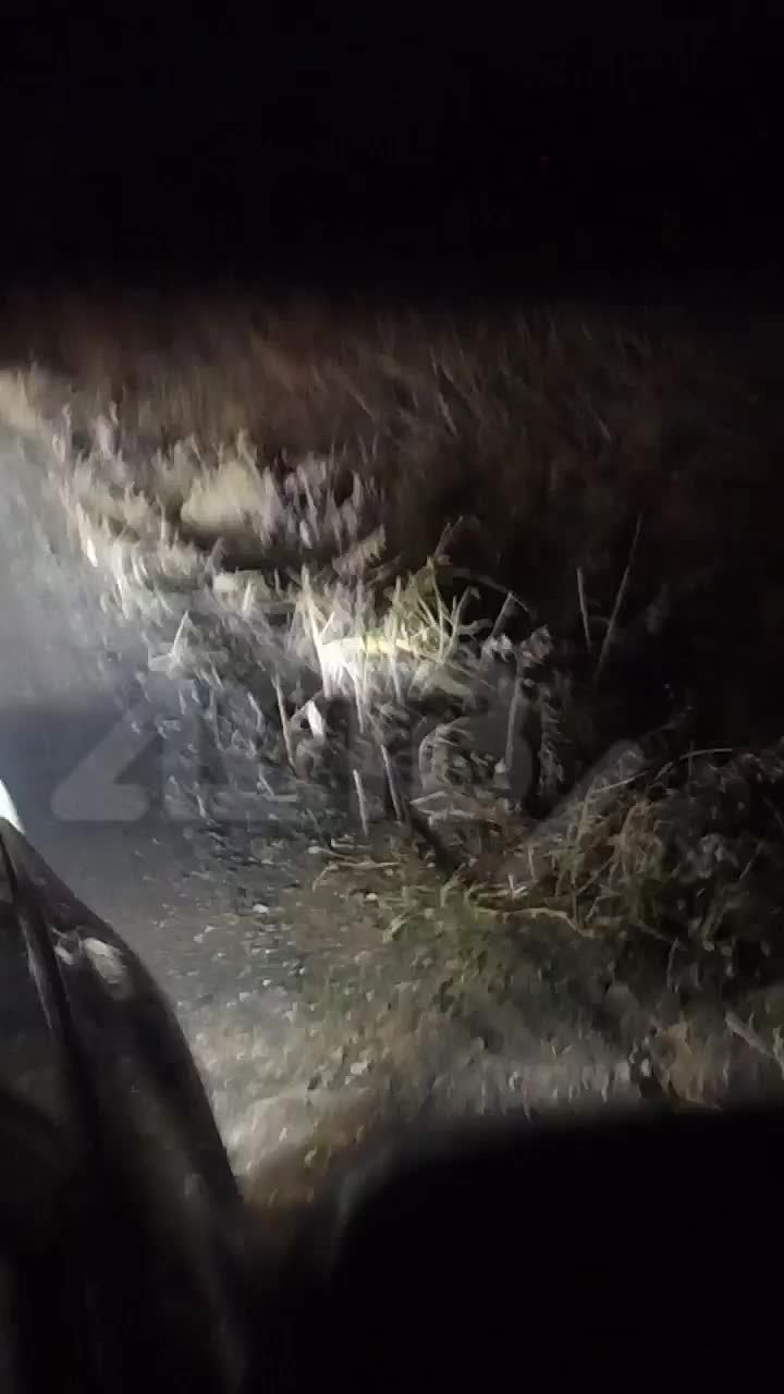 Дорогу Озерское – Новиково стали называть убийцей автомобилей и нервов