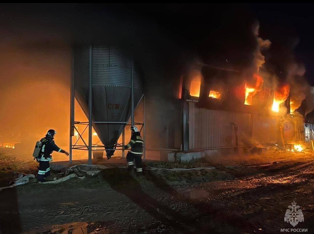 При пожаре на свинокомплексе «Мерси-Агро» погибли 1500 тысячи свиней При пожаре на свинокомплексе «Мерси-Агро» погибли 1500 тысячи свиней