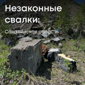 По материалам Росприроднадзора суд обязал виновника возместить ущерб, причиненный почве в результате незаконного размещения строительных отходов в Сахалинской области