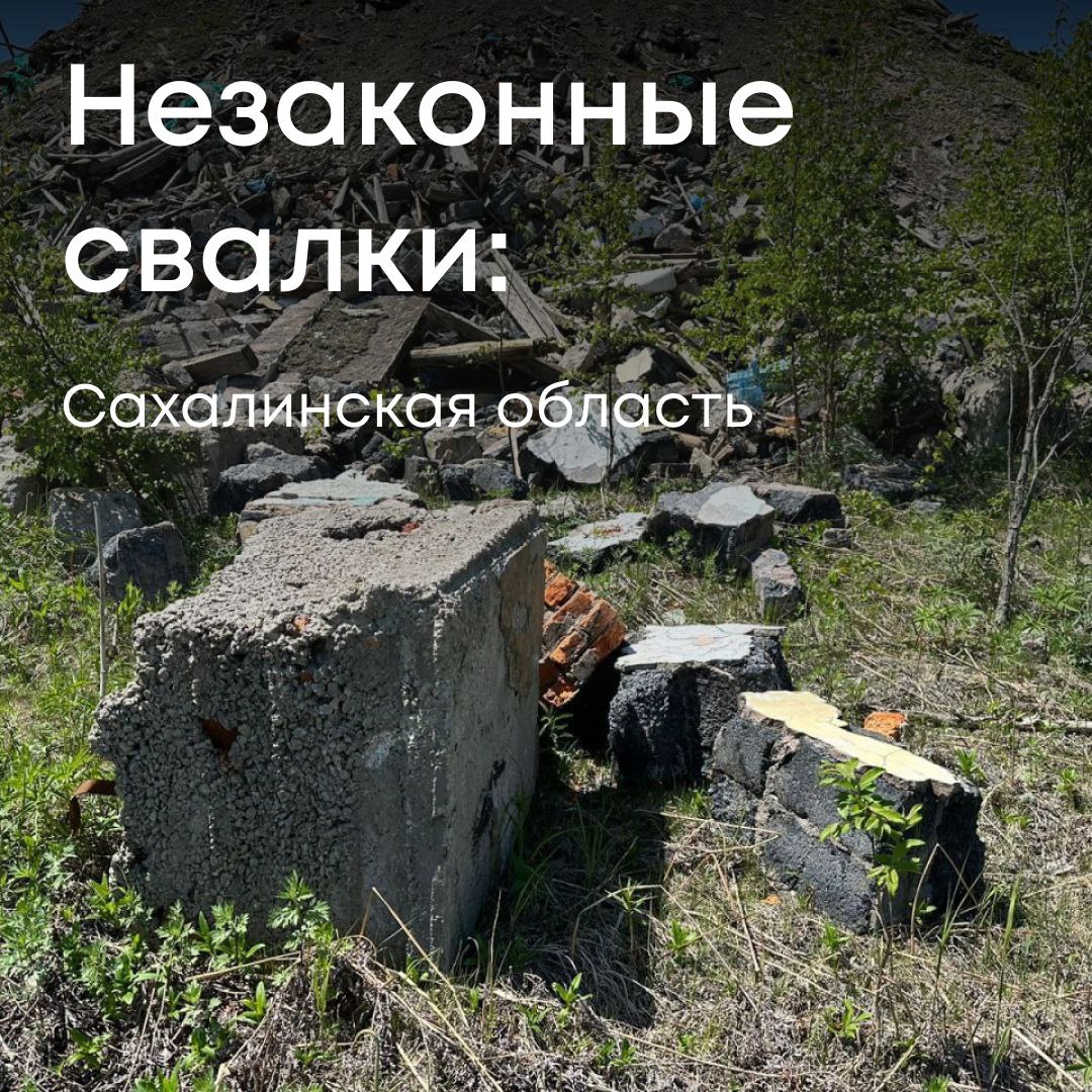 По материалам Росприроднадзора суд обязал виновника возместить ущерб, причиненный почве в результате незаконного размещения строительных отходов в Сахалинской области