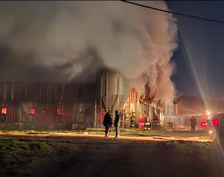 При пожаре на свинокомплексе «Мерси-Агро» погибли 1500 тысячи свиней При пожаре на свинокомплексе «Мерси-Агро» погибли 1500 тысячи свиней