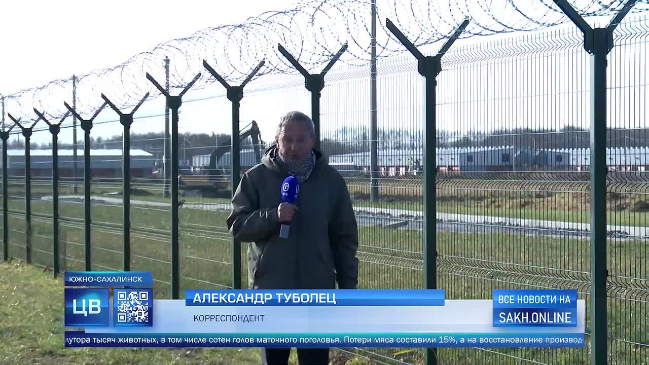 Около 1500 тысяч домашних животных погибли во время пожаре на юге острова