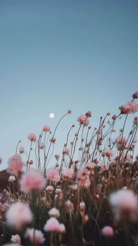 Доброе утро!. Сегодня Международный день памяти животных, погибших от рук человека В этот день родились писатель Дмитрий Мамин-Сибиряк (1852 — 1912), актриса и кинорежиссёр Алла Сурикова (1940), российский актёр Александр...