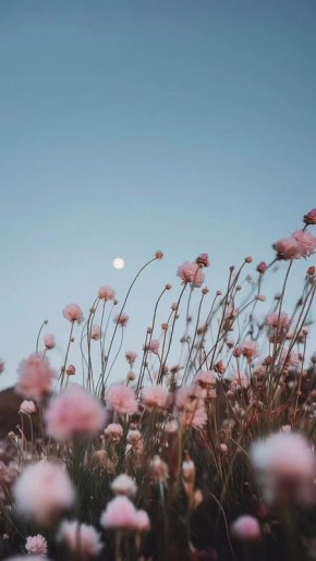 Доброе утро!. Сегодня Международный день памяти животных, погибших от рук человека В этот день родились писатель Дмитрий Мамин-Сибиряк (1852 — 1912), актриса и кинорежиссёр Алла Сурикова (1940), российский актёр Александр...