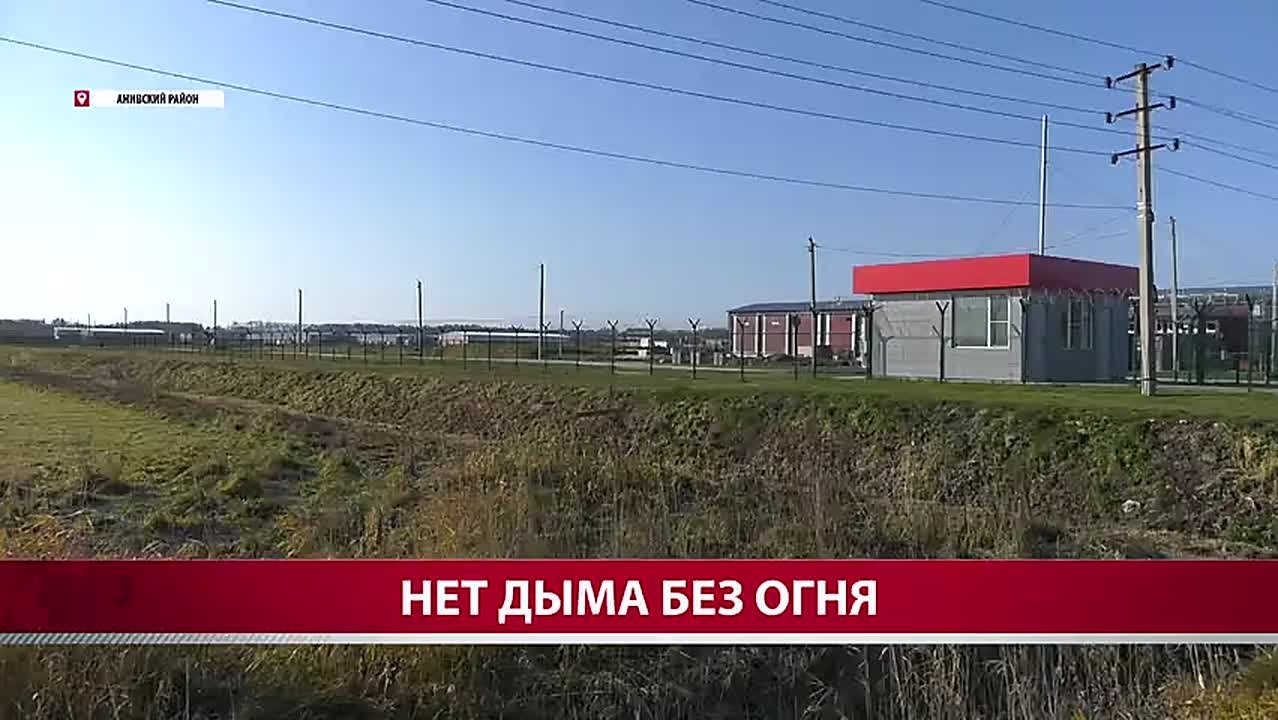 "Большая часть свиней, вероятнее всего, задохнулась": подробности страшного пожара в "Мерси Агро Сахалин"