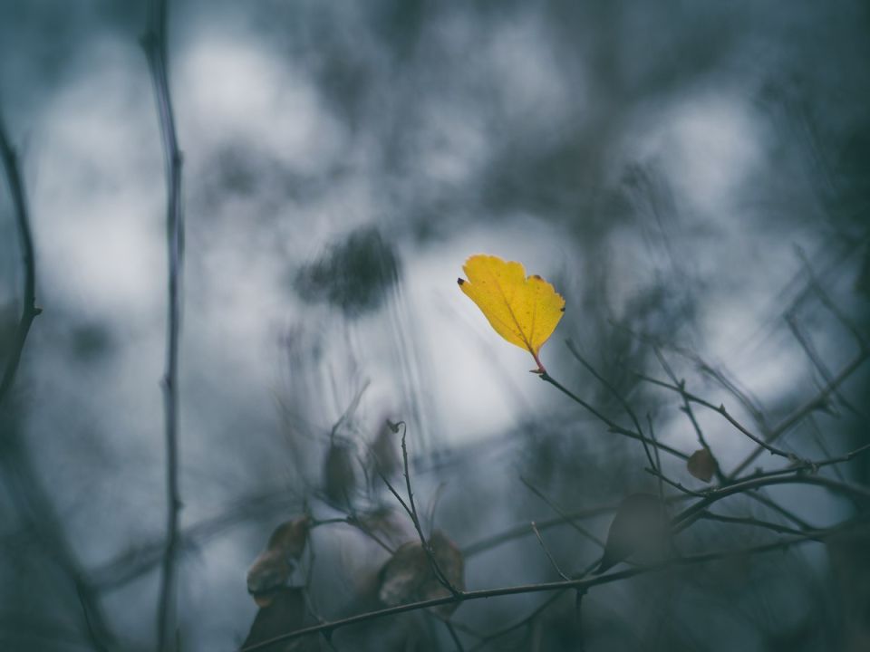 Снег и порывистый ветер обрушатся на Сахалин и Курилы