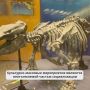 Сахалинский краеведческий музей организовал экскурсию для ветеранов СВО и их семей
