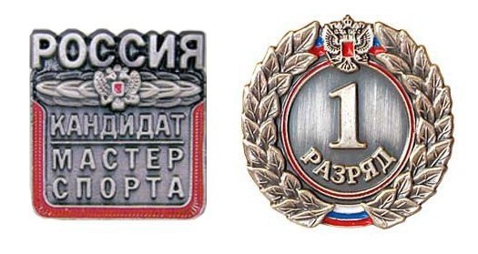 Министр спорта Сахалинской области А.В. Подшивалов подписал распоряжения № 3.18-96-п и 3.18-102п «О присвоении спортивных разрядов»