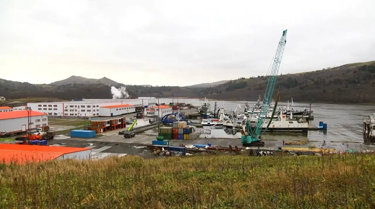 На острове Шикотан успешно работает новый рыбоперерабатывающий комплекс