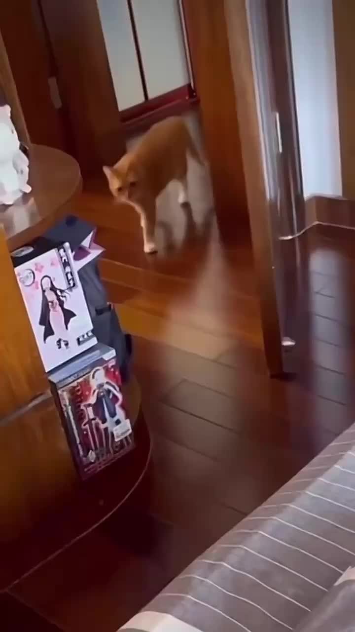 Доброе утро. 123 года назад в России открыли первый вытрезвитель