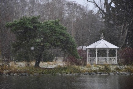 Осень плавно передаёт эстафету зиме, а это значит, что пора напомнить о простых, но важных правилах: