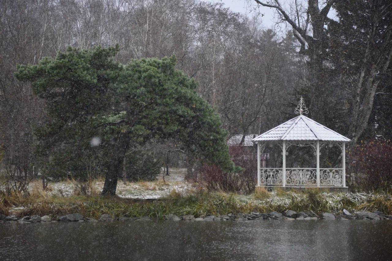 Осень плавно передаёт эстафету зиме, а это значит, что пора напомнить о простых, но важных правилах: