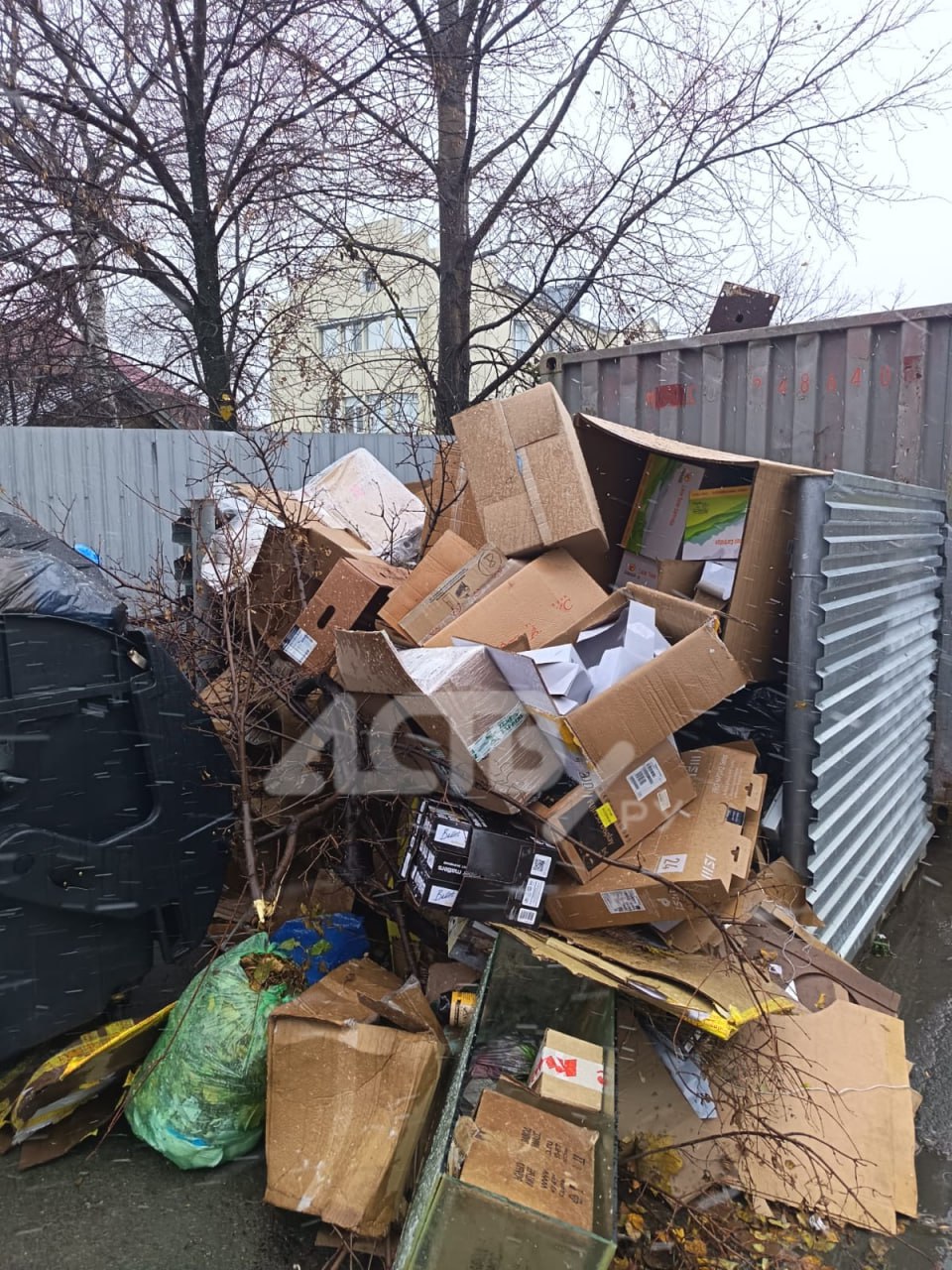 Южносахалинцы жалуются на заваленную мусорку рядом с тремя приличными организациями