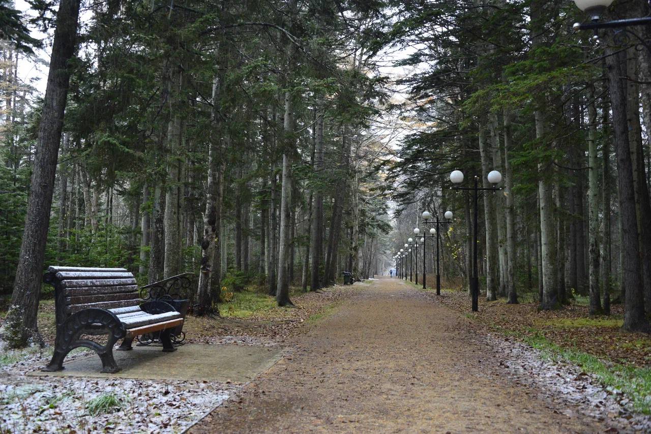 Осень плавно передаёт эстафету зиме, а это значит, что пора напомнить о простых, но важных правилах: Осень плавно передаёт эстафету зиме, а это значит, что пора напомнить о простых, но важных правилах: