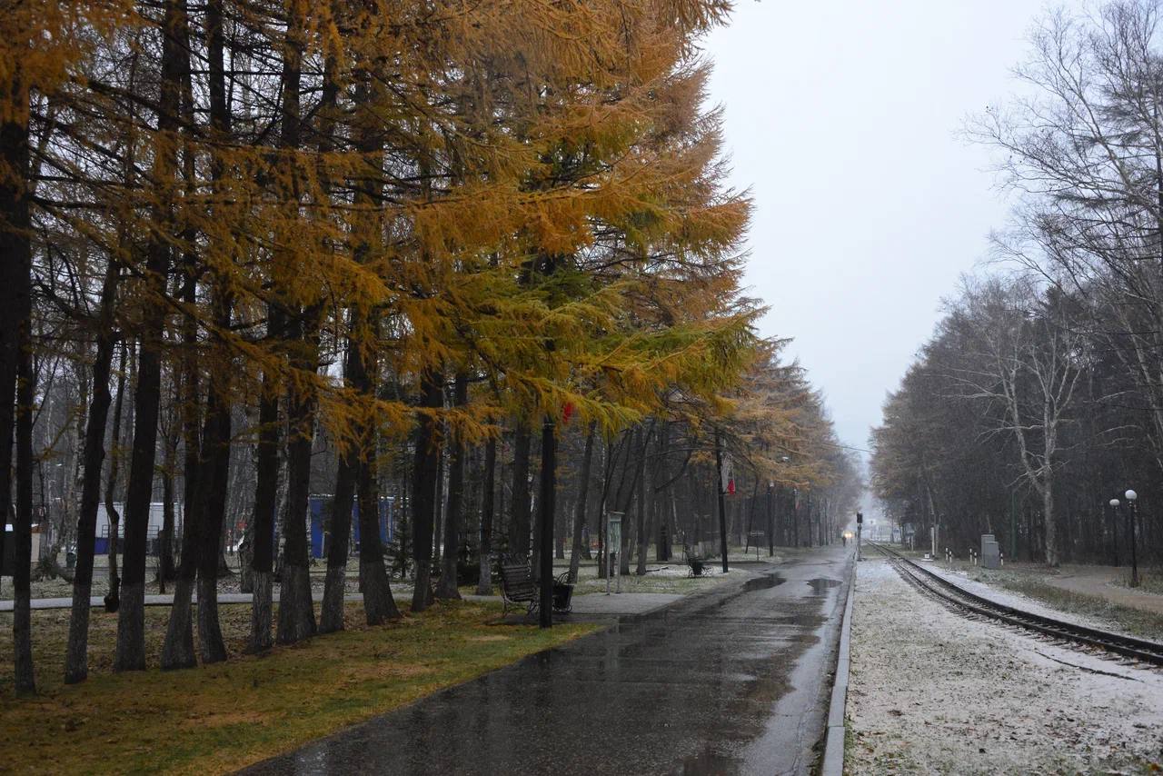 Осень плавно передаёт эстафету зиме, а это значит, что пора напомнить о простых, но важных правилах: Осень плавно передаёт эстафету зиме, а это значит, что пора напомнить о простых, но важных правилах: