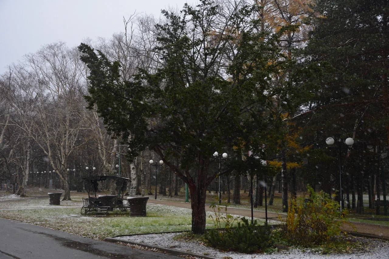 Осень плавно передаёт эстафету зиме, а это значит, что пора напомнить о простых, но важных правилах: Осень плавно передаёт эстафету зиме, а это значит, что пора напомнить о простых, но важных правилах: