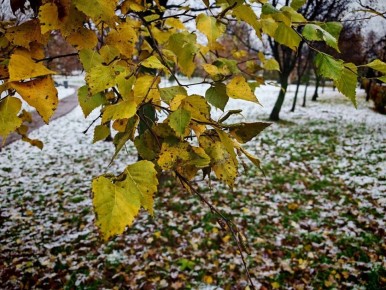 Доброе утро, Южный!. Пятница встретила нас снегом с дождём