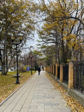 Красота природы бесценна. Буквально несколько дней назад Южный пестрил разноцветными красками