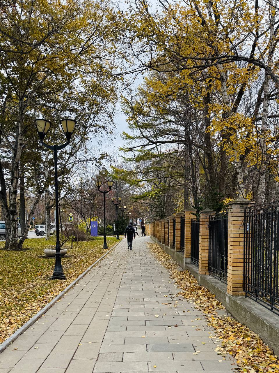 Красота природы бесценна. Буквально несколько дней назад Южный пестрил разноцветными красками