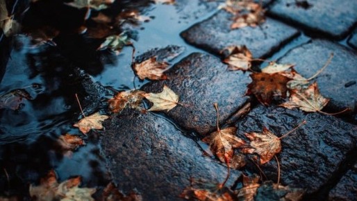 Дождливо и ветрено: прогноз погоды в Южно-Сахалинске на 9 ноября