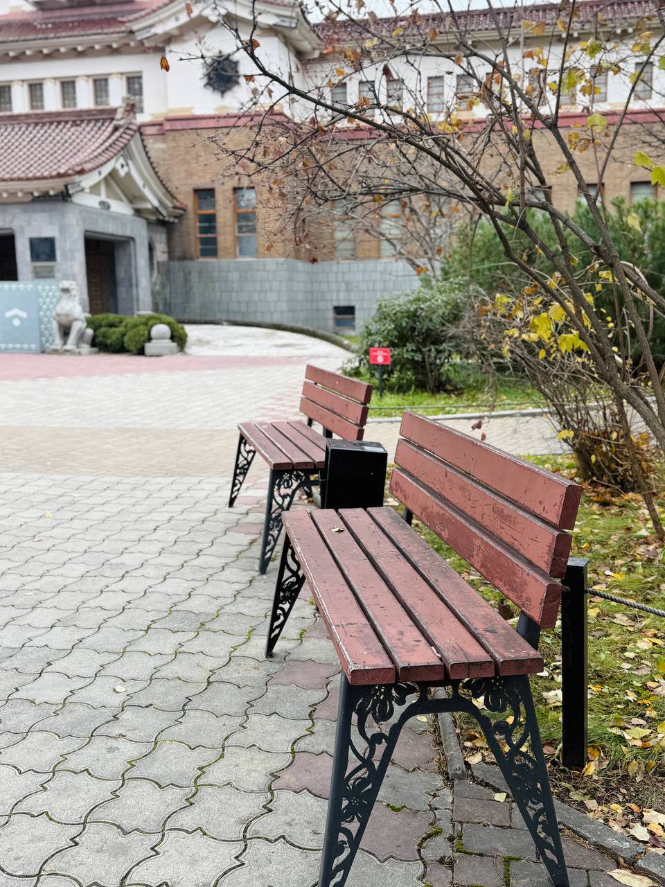 Красота природы бесценна. Буквально несколько дней назад Южный пестрил разноцветными красками Красота природы бесценна. Буквально несколько дней назад Южный пестрил разноцветными красками