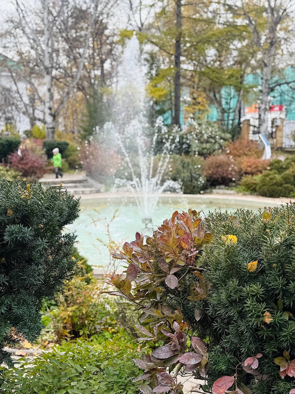 Красота природы бесценна. Буквально несколько дней назад Южный пестрил разноцветными красками Красота природы бесценна. Буквально несколько дней назад Южный пестрил разноцветными красками