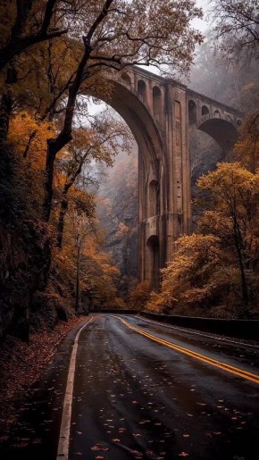 Доброе утро!. Сегодня День пианиста В этот день родились древнерусский князь Святополк Изяславич (1050 — 1113), музыканты Стас Намин (1951) и Александр Асташёнок (1981), актёры Людмила Аринина (1926), Олег Меньшиков (1960) и...