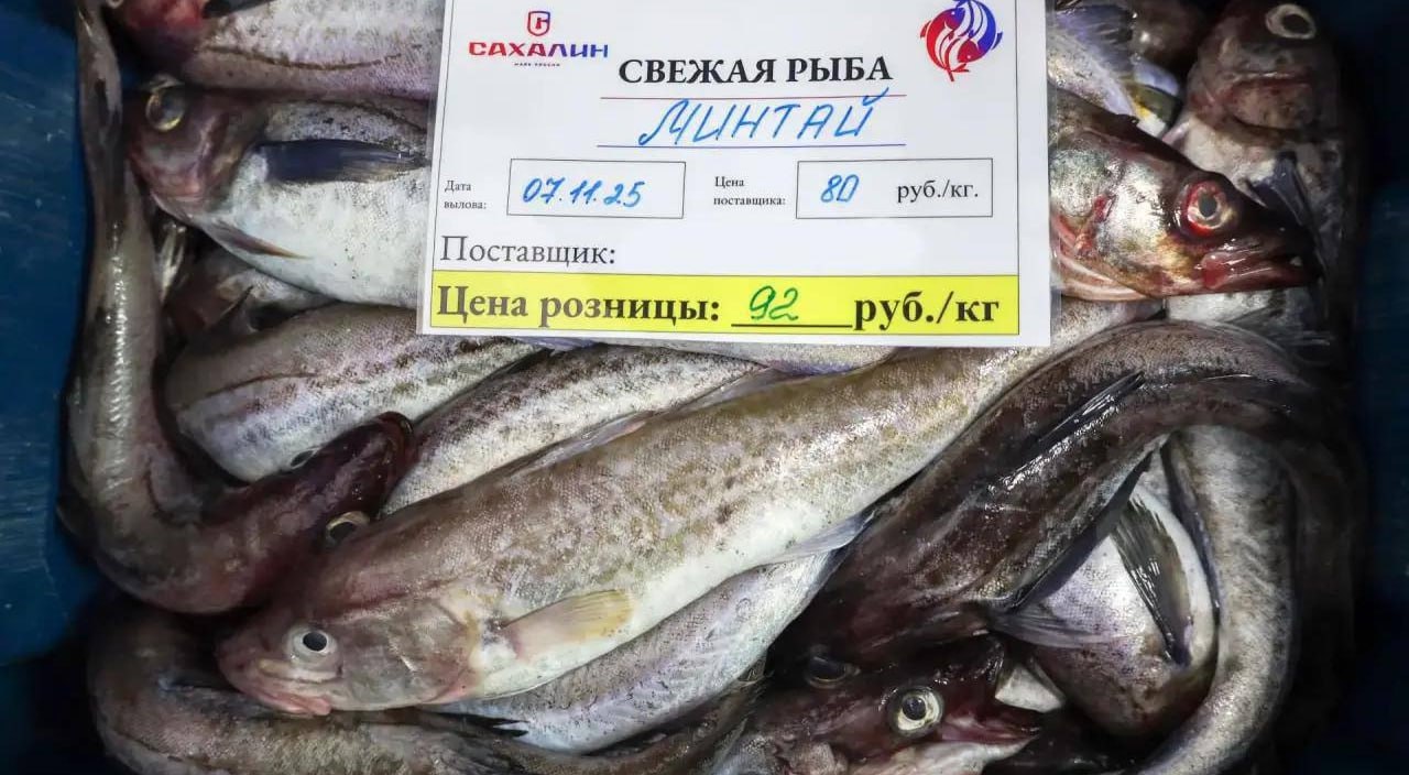 Камбалу и минтай предлагают сахалинцам по доступным ценам