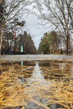 Поздняя осень в городском парке Южно-Сахалинске