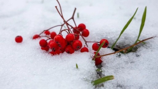 Сахалин завалит снегом, а на Курилах будет штормить