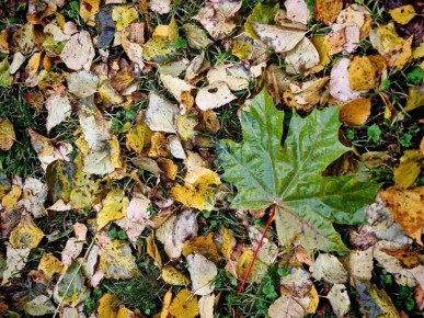 Доброе утро, Южный!. Сегодня день обещает оставаться в пасмурных тонах