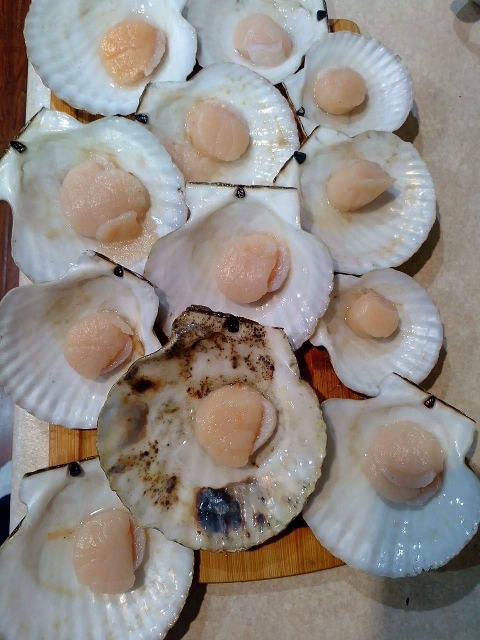 Берег залива Анива усыпало гребешком после шторма