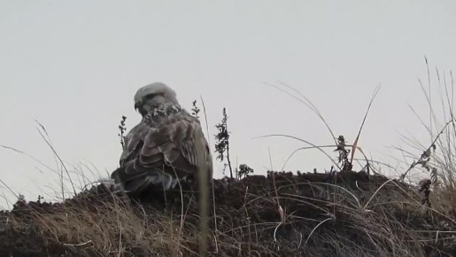 Непогода надвигается на Парамушир