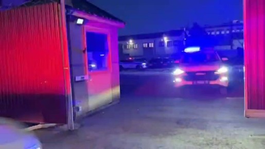 Сводка Госавтоинспекции за 10 ноября 2025 года