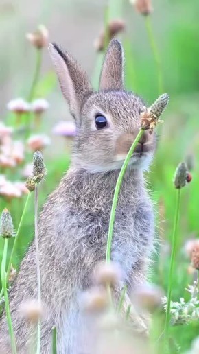 Доброе утро!. Сегодня День экономиста в России В этот день родились писатель Фёдор Достоевский (1821 — 1881), актриса Олеся Железняк (1974) и видеоблогер Валя Карнавал (2001)