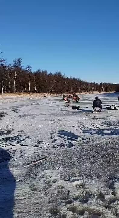 ��������� ������� ����� �������� ������� �� ������� - ����� ������������ ����� �������