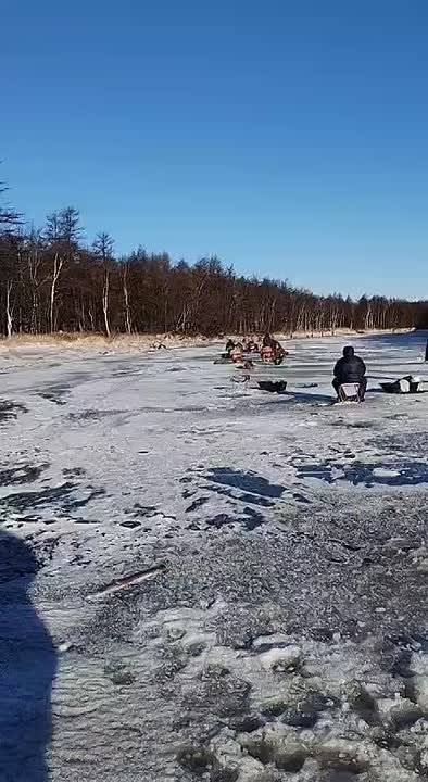 Сахалинцы открыли сезон подлёдной рыбалки на корюшку - самой долгожданной среди рыбаков