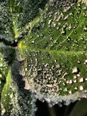   , !.      -           !       !    ...