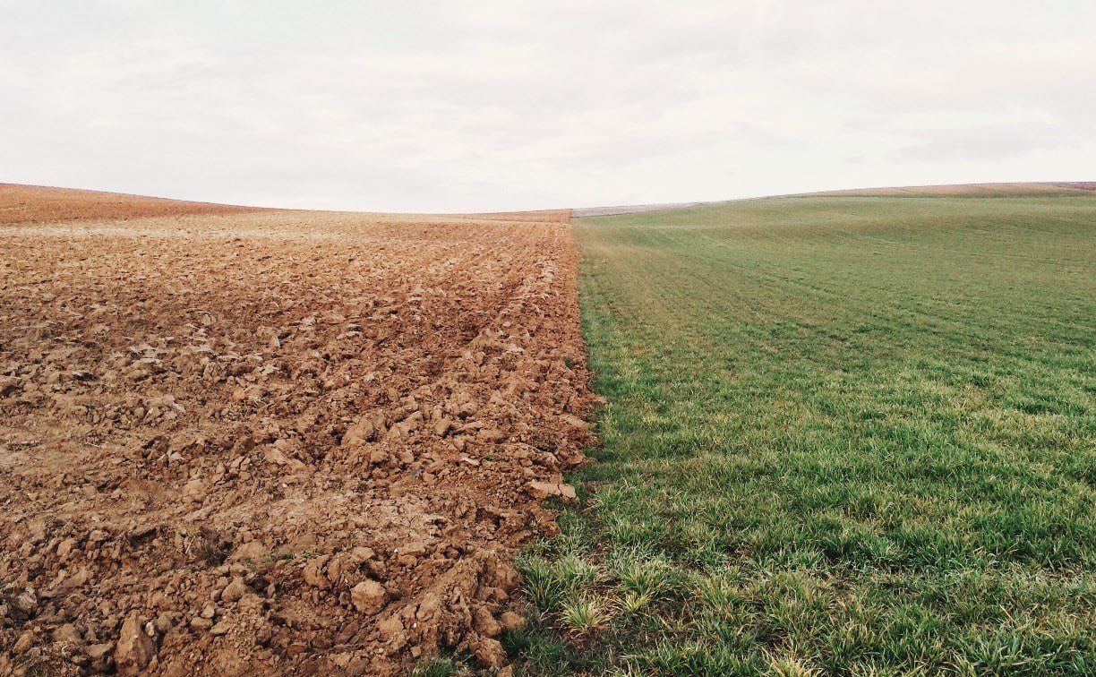 Нитриты, тяжелые металлы, нефть: что нашли в сельхозземлях на Сахалине