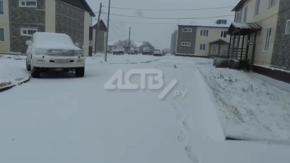 Школьников перевели на дистант из метели на Северных Курилах