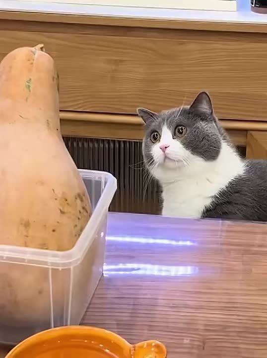 ������ ����. ������� � ������ ��������� � ������� ������ ����, ���� 12 ������ � �������� ����