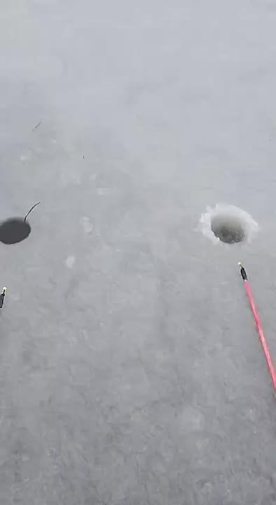 Рыбацкую удачу за хвост сегодня пытались поймать и рыбаки Охинского района