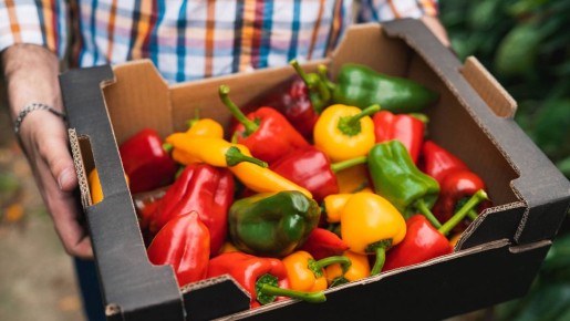 Готовится за считаные минуты: пикантный болгарский перец получится нежным и сочным