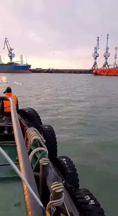 ������ ���� ������� ������� � ������� ��������