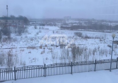 Метель пришла на север Сахалина: самолёт в Оху задержали